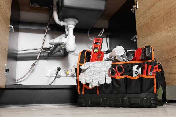 Best Septic Systems  in Muniz, TX